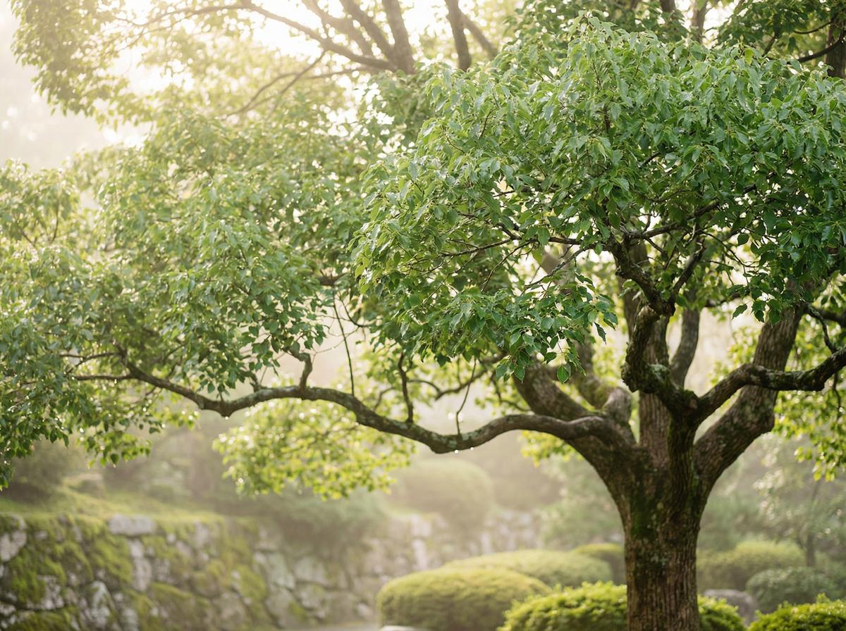 人兽含羞草科普视频